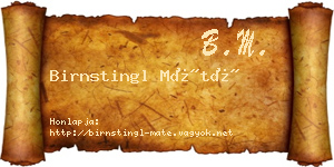 Birnstingl Máté névjegykártya