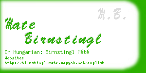 mate birnstingl business card